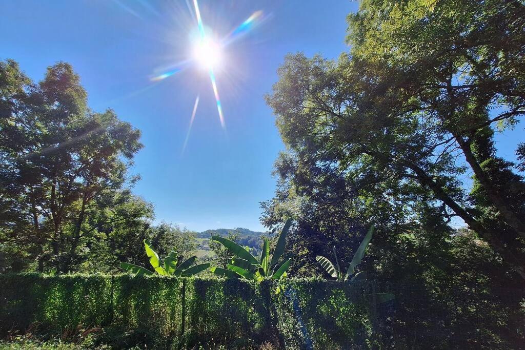 Logement Neuf A 2 Pas Du Lac La Bridoire Dış mekan fotoğraf
